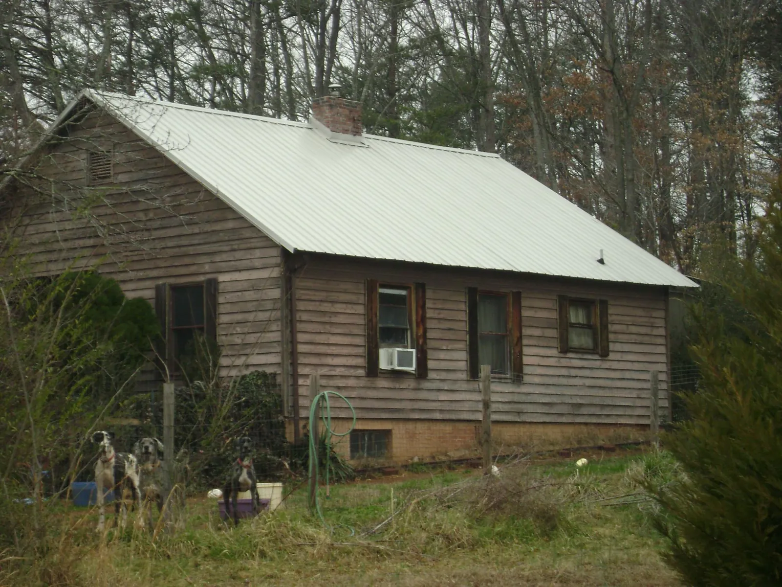 White metal roof on an old wood sided farmhouse, from a Asphalt Shingle Roof Repair job in South Haven